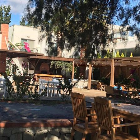 Meggs Bodrum Beach Restaurant & Hotel Ortakent Εξωτερικό φωτογραφία