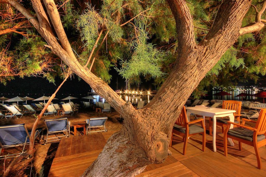 Meggs Bodrum Beach Restaurant & Hotel Ortakent Εξωτερικό φωτογραφία